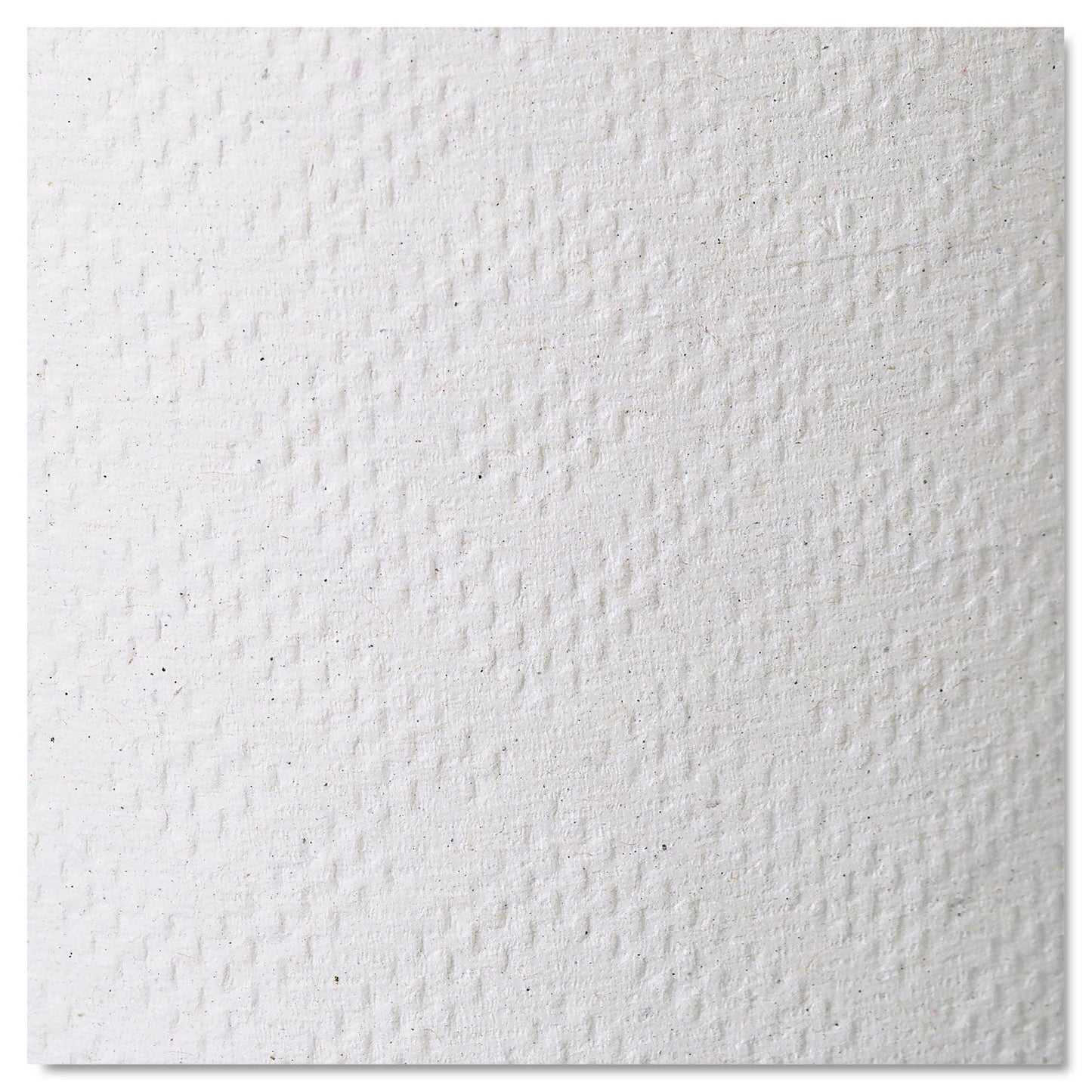 Georgia Pacific Pacific Blue Basic Nonperforated Paper Towels, 7.88" x 350 ft, White, 12 Rolls/Carton