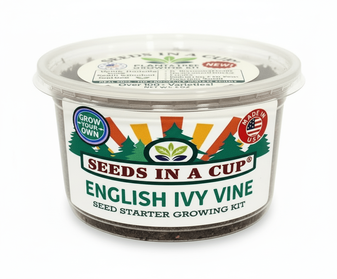 Parsley Grow Kit | Grow Fresh Parsley from Seed | Seeds In A Cup®