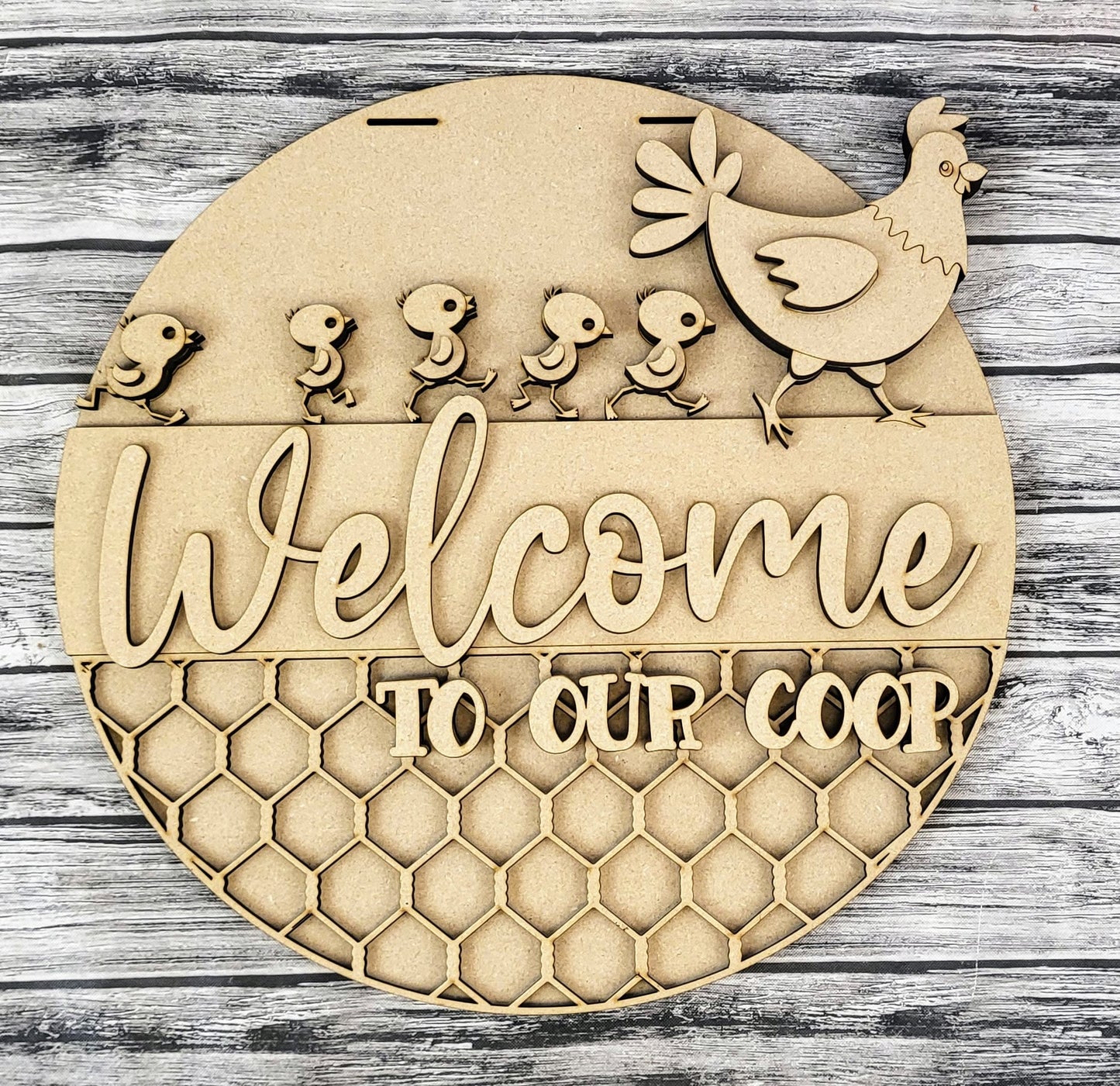 Welcome to our Coop 2 Door Hanger DIY Unfinished Kit
