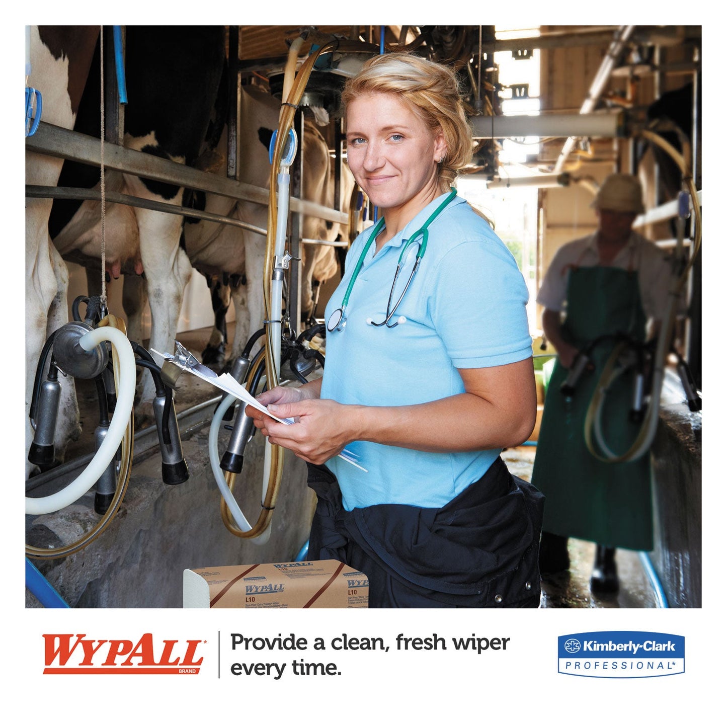 WypAll L10 SANI-PREP Dairy Towels, Banded, 2-Ply, 9.3 x 10.5, 200/Pack, 12 Packs/Carton