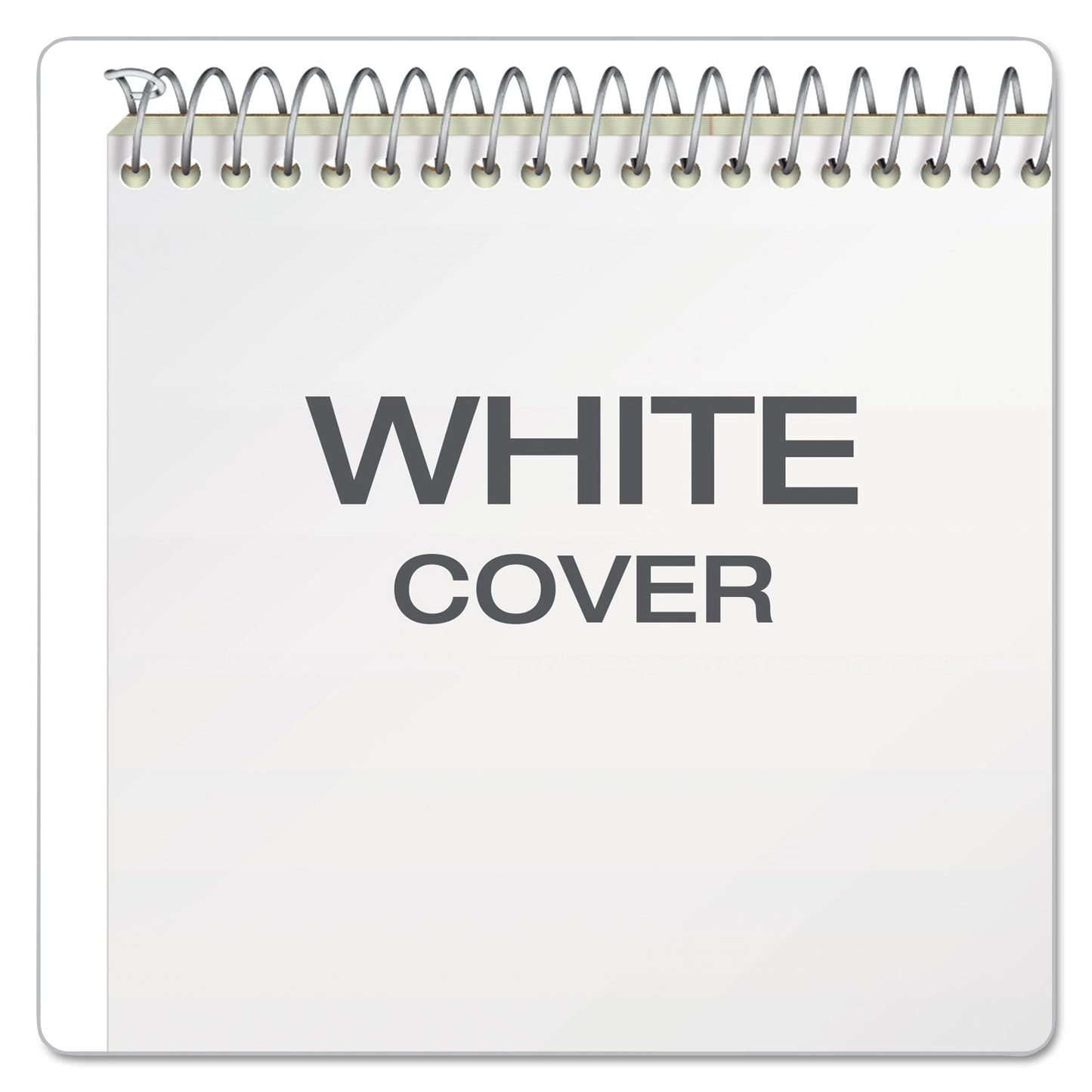 Ampad Steno Pads, Gregg Rule, Tan Cover, 80 Green-Tint 6 x 9 Sheets