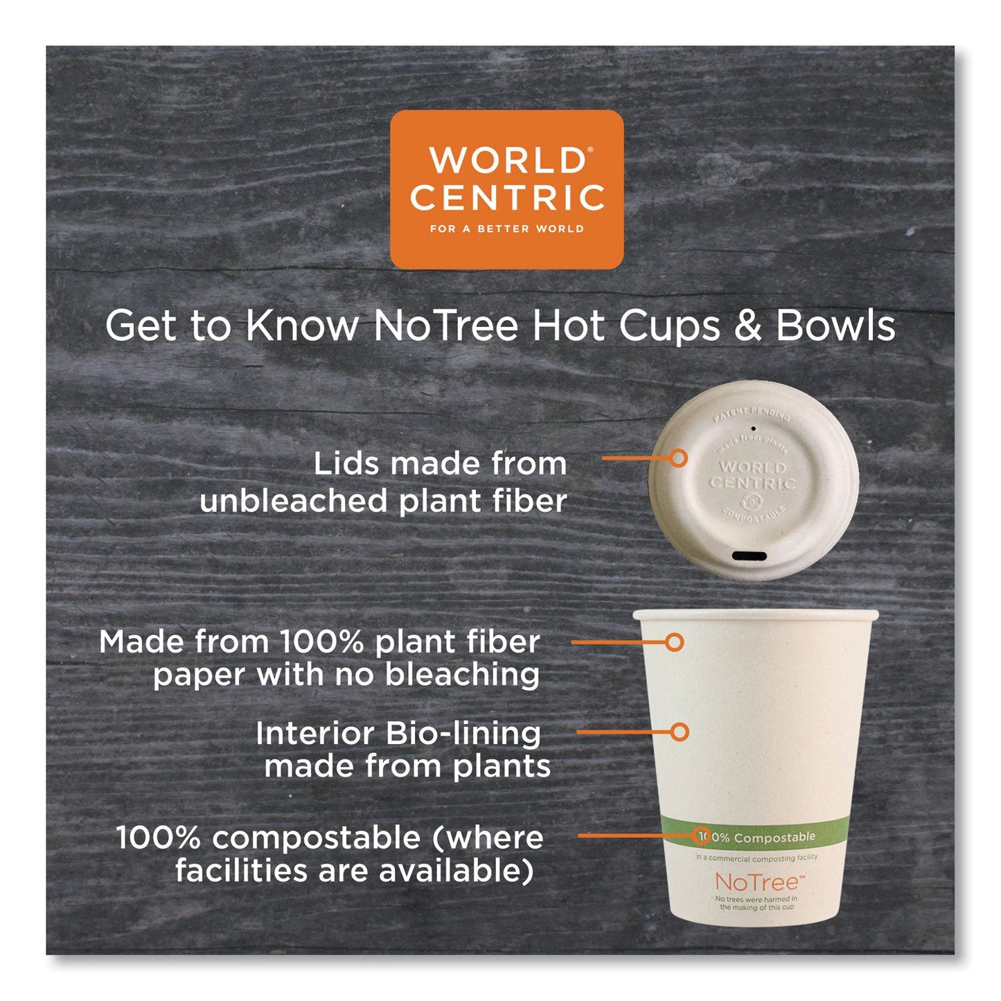 World Centric NoTree Paper Hot Cups, 12 oz, Natural, 1,000/Carton