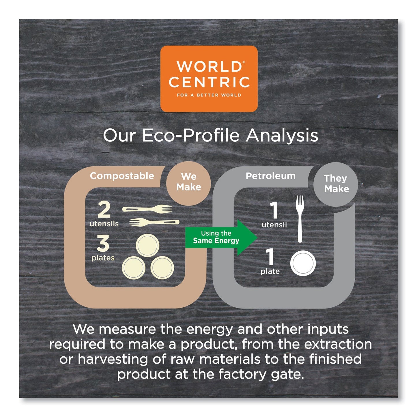 World Centric Fiber Trays, 1-Compartment, 8.3 x 4.9 x 0.7, Natural, Paper, 500/Carton