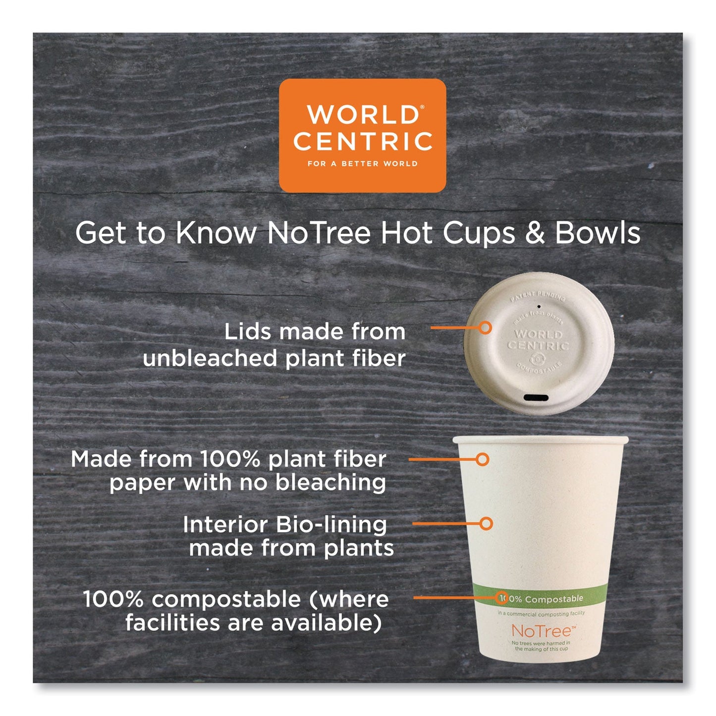 World Centric NoTree Paper Hot Cups, 4 oz, Natural, 1,000/Carton