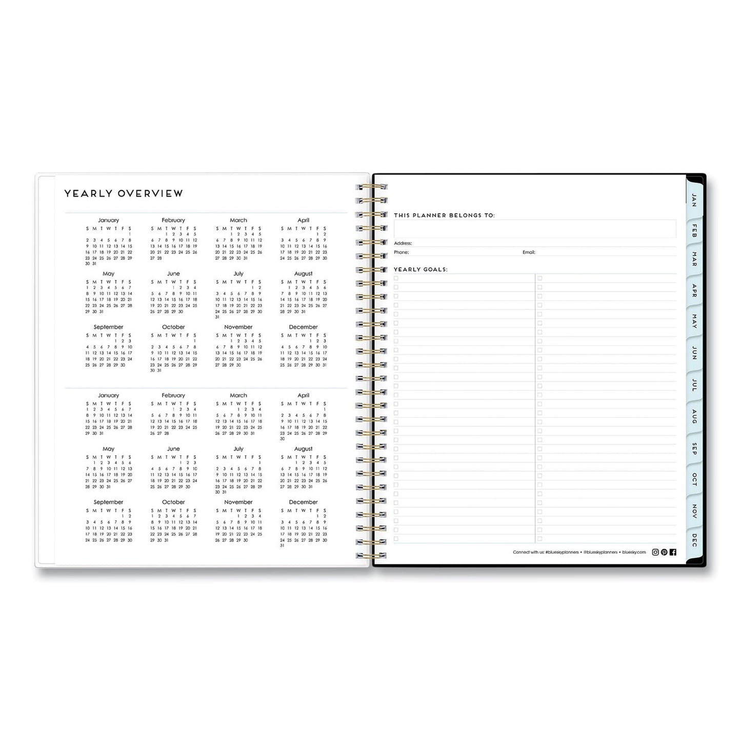 Blue Sky Baccara Dark Monthly Planner, Baccara Dark Floral Artwork, 10 x 8, Gray/Black/Gold Cover, 2023
