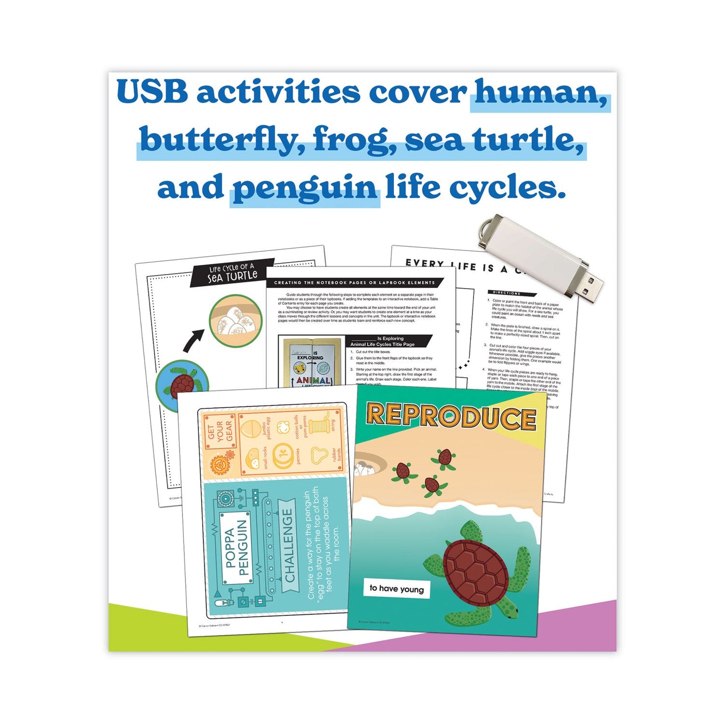 Carson-Dellosa Education In a Flash USB, Animal Lifestyles, Ages 5-8, 225 Pages