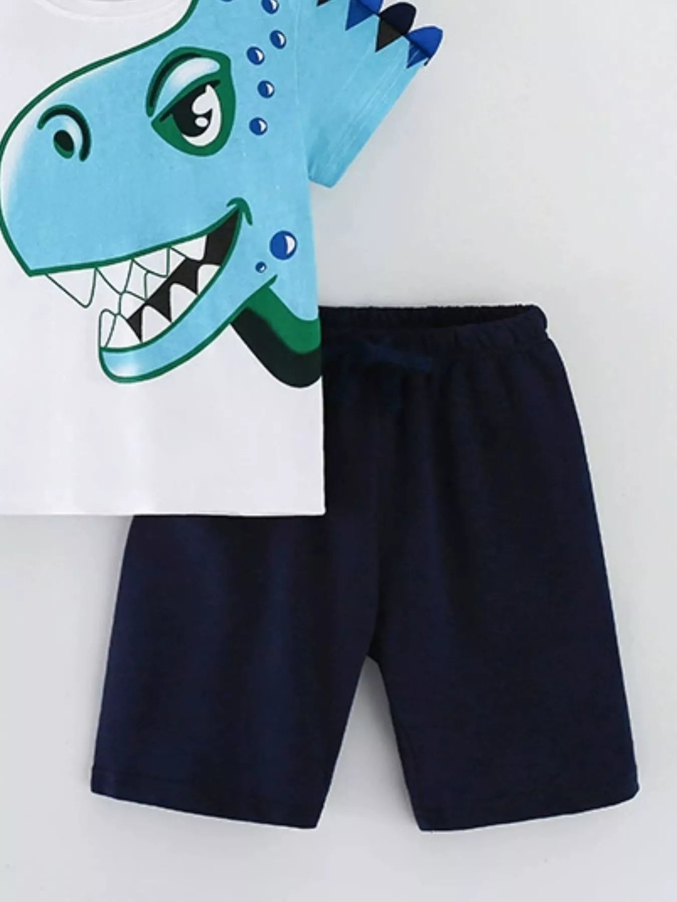 Children's Dinosaur Short Sleeve T-Shirt & Shorts Set