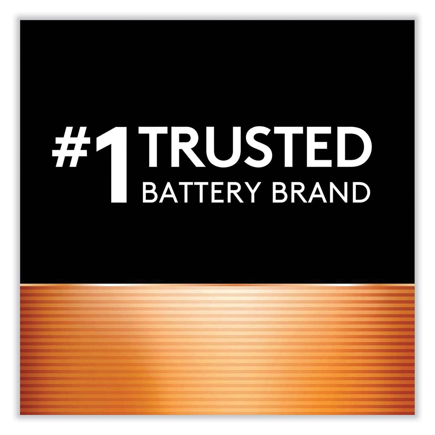 Duracell CopperTop Alkaline 9V Batteries, 2/Pack