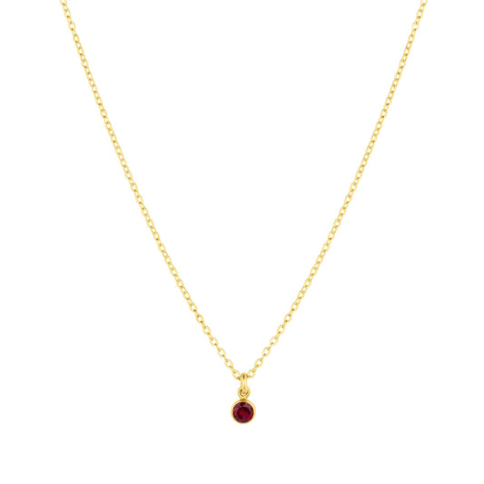 Birthstone Charm Necklace