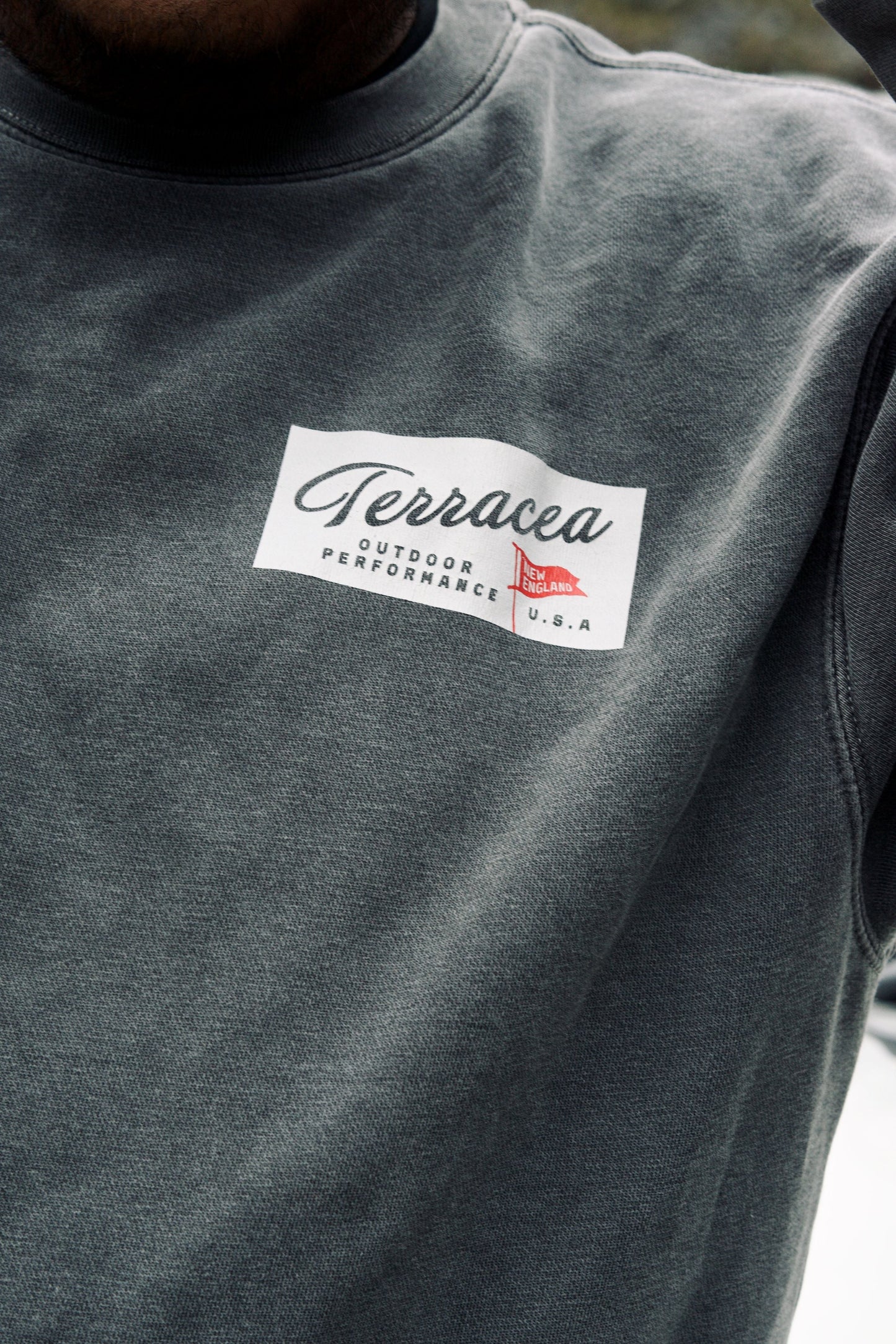 PENNANT CREWNECK SWEATSHIRT