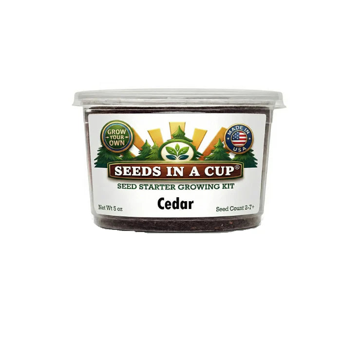 Cedar Tree Grow Kit | Grow Cedar Tree from Seed | Seeds In A Cup®