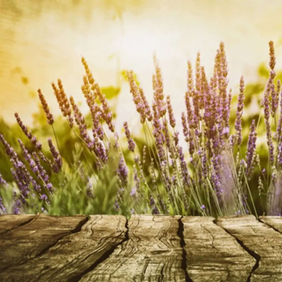 Lavender and Cedar