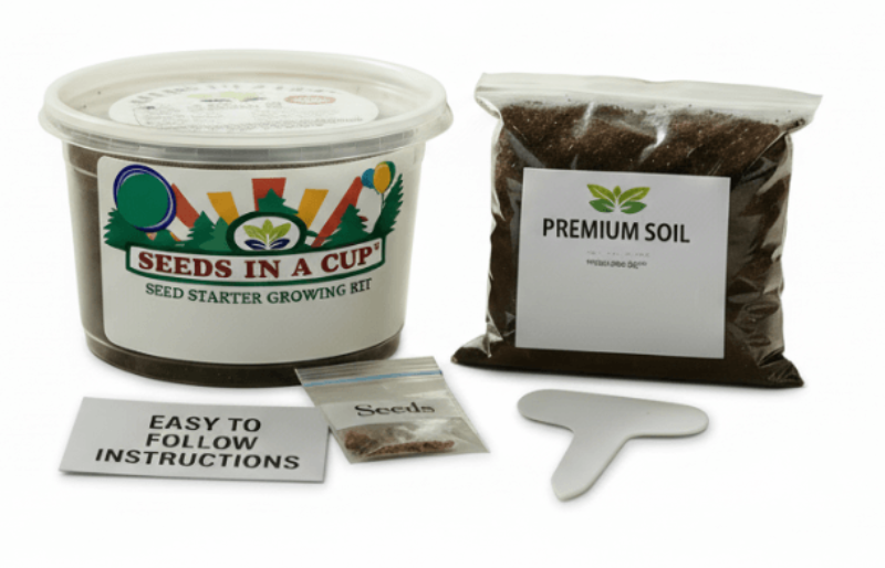 Pecan Tree Grow Kit | Grow Pecan Tree from Seed | Seeds In A Cup®