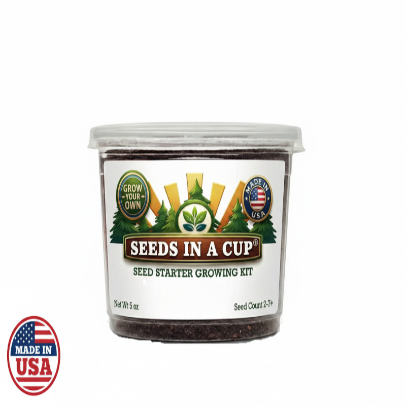 Cedar Tree Grow Kit | Grow Cedar Tree from Seed | Seeds In A Cup®