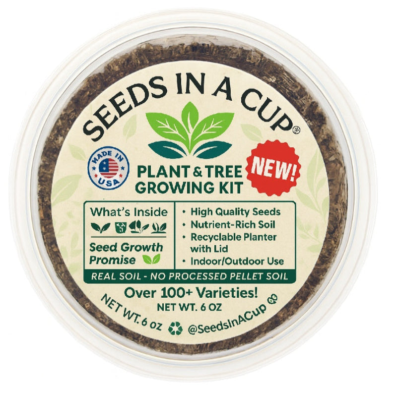 Hazelnut Tree Grow Kit | Grow Hazelnuts from Seed | Seeds In A Cup®