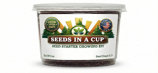 American Holly Grow Kit | Grow Holly from Seed | Seeds In A Cup®