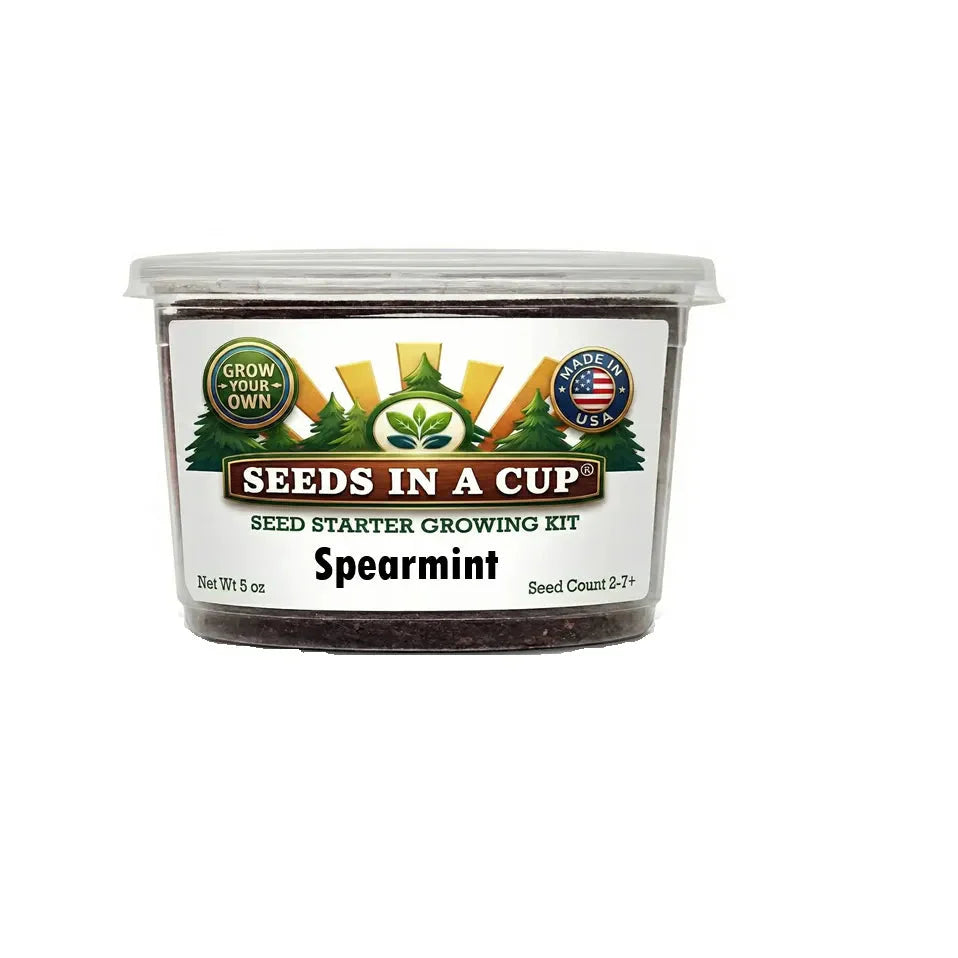 Spearmint Grow Kit | Grow Fresh Spearmint from Seed | Seeds In A Cup®