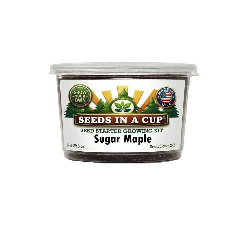 Sugar Maple Grow Kit | Grow Maple Tree from Seed | Seeds In A Cup®